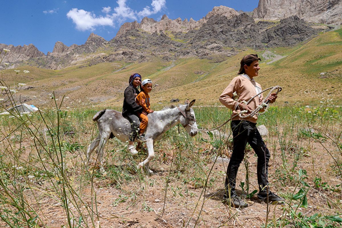 Hayvancılık ve Ürün Satışı