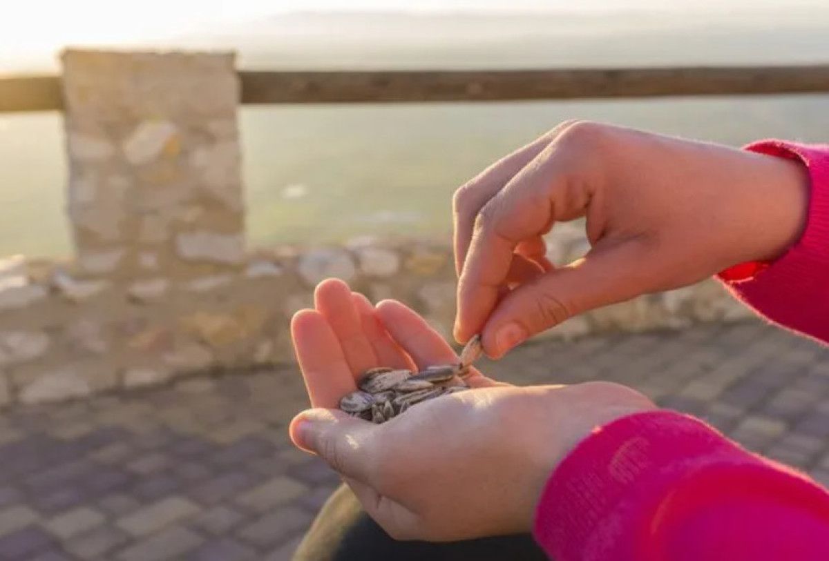 Önemli Uyarılar ve Tüketim Önerileri