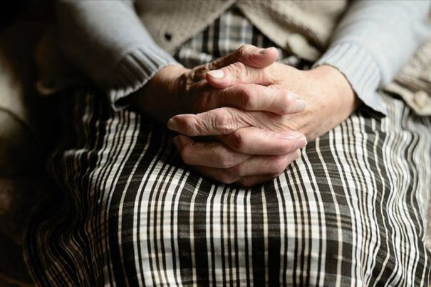 İngiltere’deki Araştırma: Köpekler Parkinson’u Koklayarak Yıllar Öncesinden Tespit Ediyor