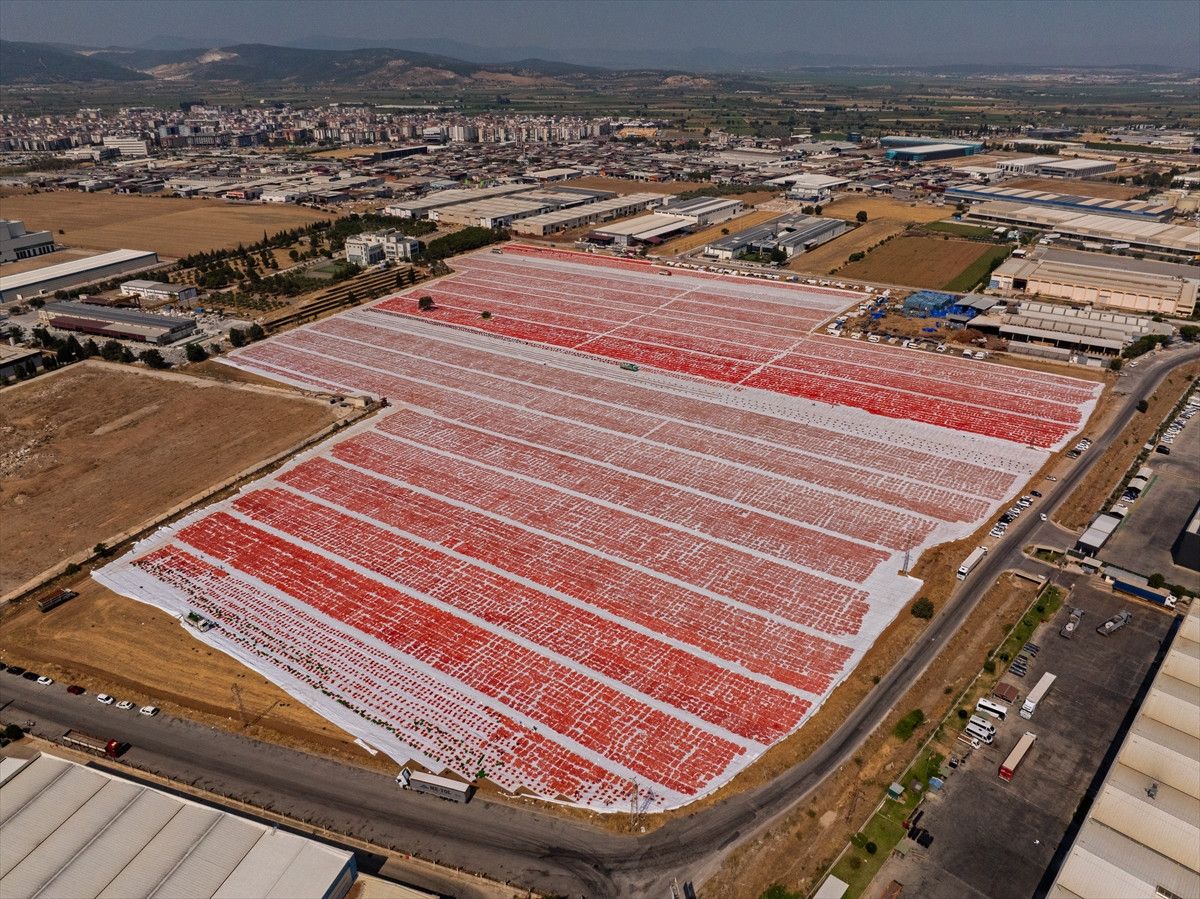 Üretim ve İhracat Süreçleri