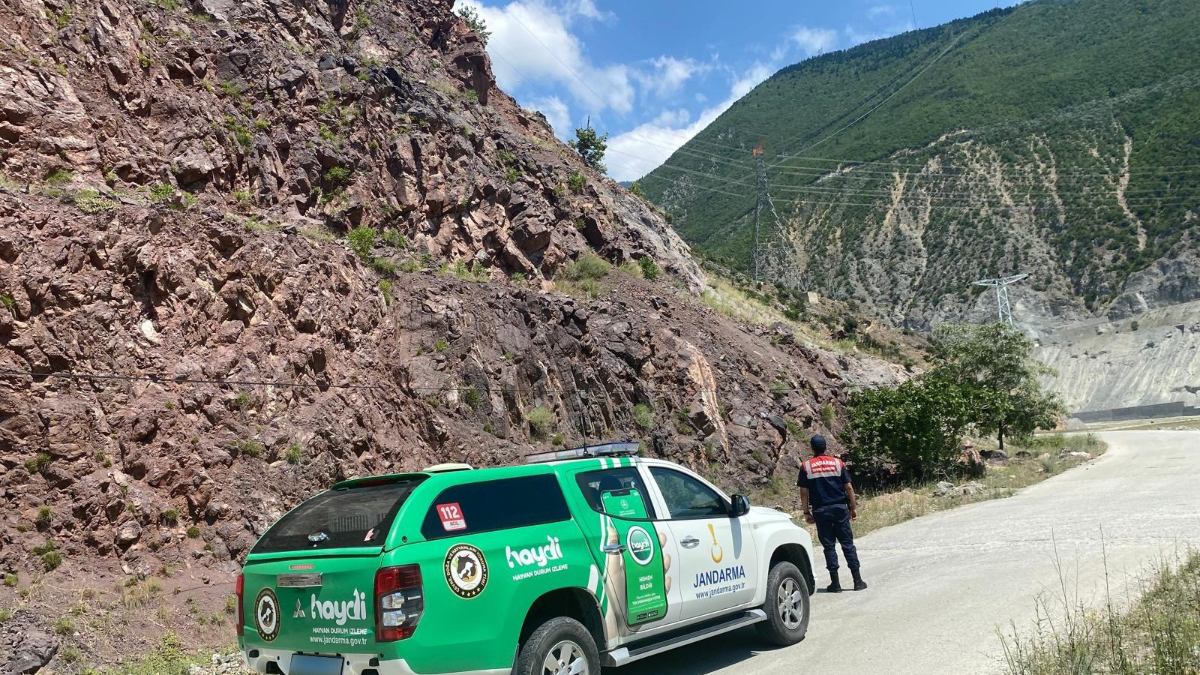 Jandarma'nın Paylaştığı: Dağ Keçilerini Gördünüz mü?