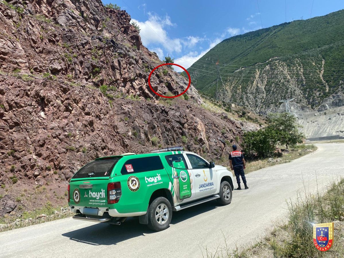 Jandarma'nın Paylaştığı: Dağ Keçilerini Gördünüz mü?