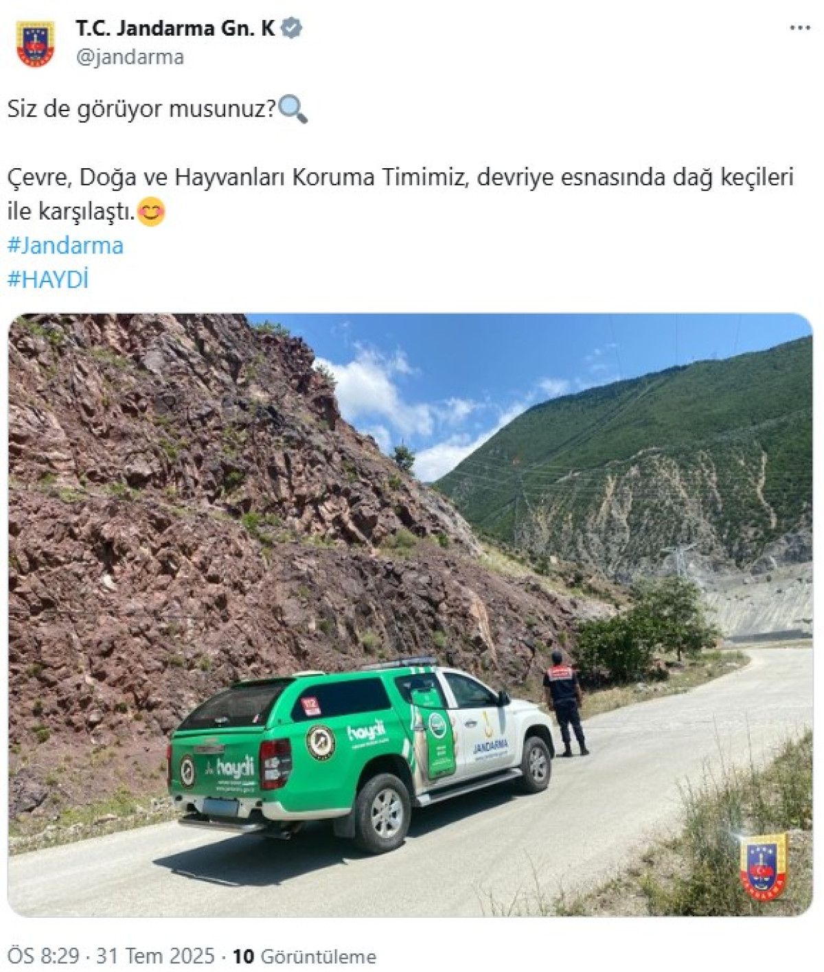 Jandarma'nın Paylaştığı: Dağ Keçilerini Gördünüz mü?