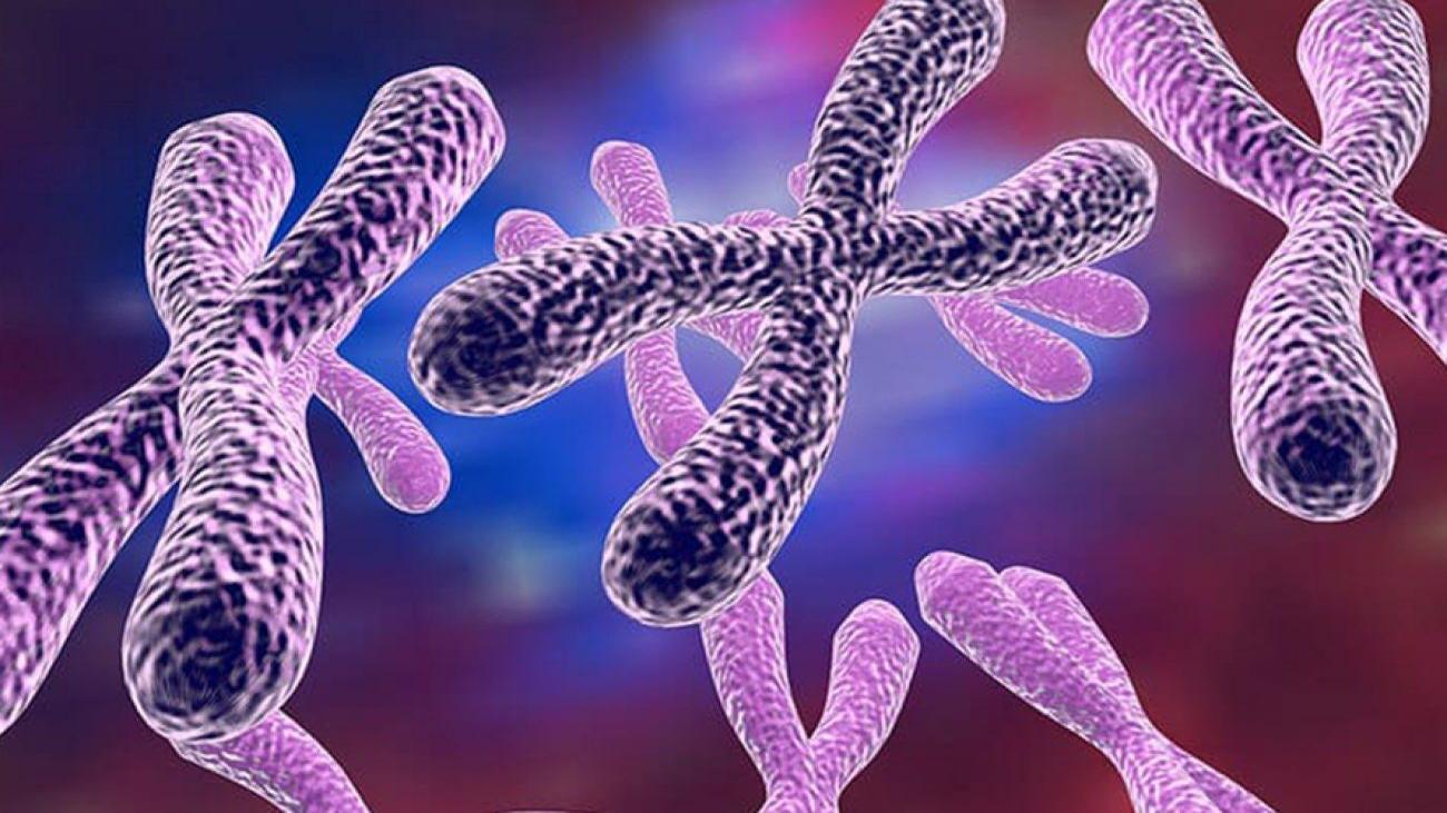 Başarı ve Potansiyel Uygulamalar