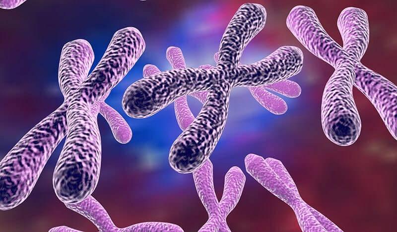 Japonlardan Genetik Devrim: Down Sendromu Tarihe Mi Karışıyor?