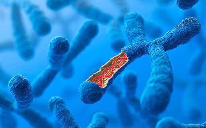 Japonlardan Genetik Devrim: Down Sendromu Tarihe Mi Karışıyor?