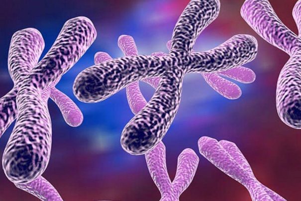 Japonlardan Genetik Devrim: Down Sendromu Tarihe Mi Karışıyor?