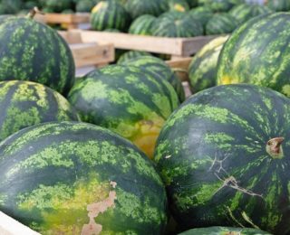 Karpuzda Gizli Tehlike: Sağlığınızı Korumak İçin Dikkat Edilmesi Gerekenler