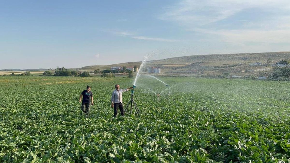 Kız Çocuklarının Eğitim Sevgisi ve Gelecek Hayalleri