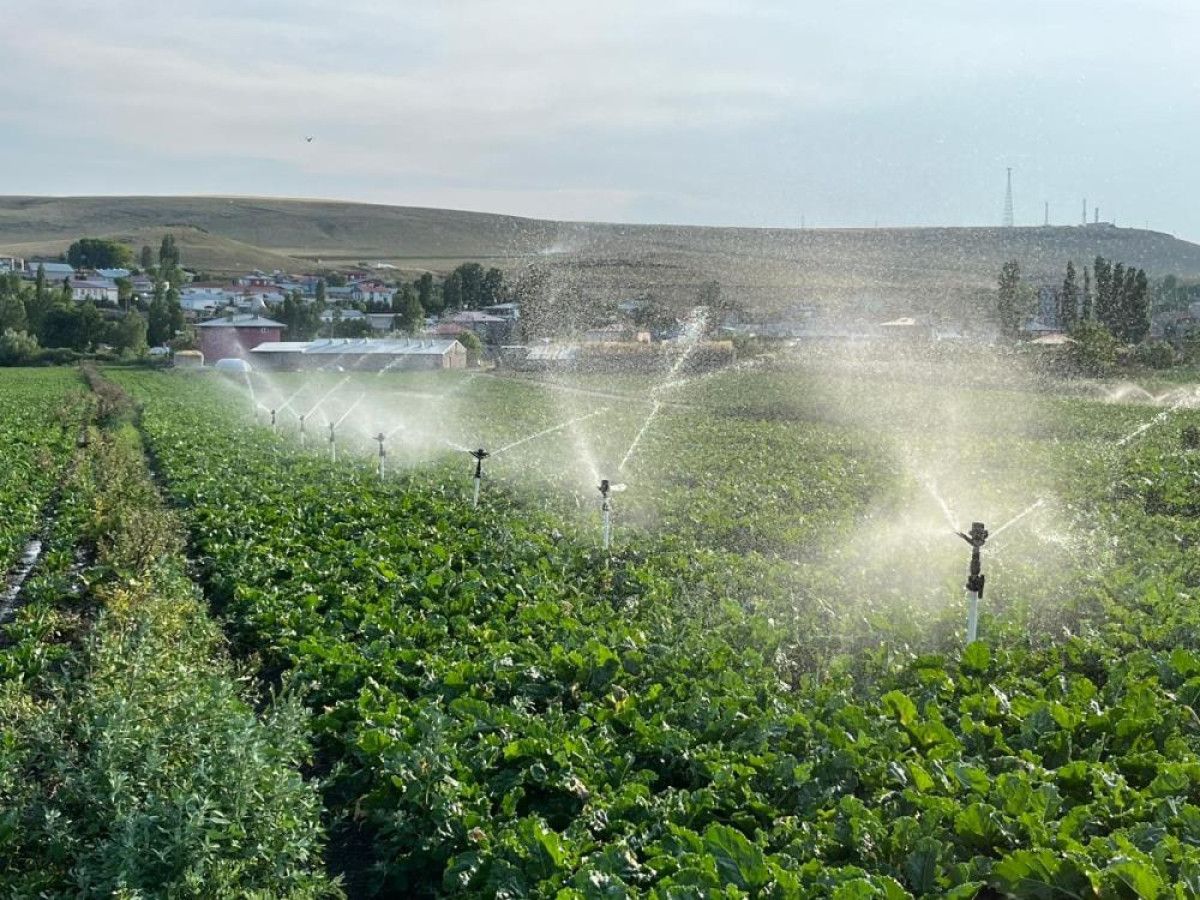 Çiftçinin Çabası ve Çocuklarının Eğitim Sevdası