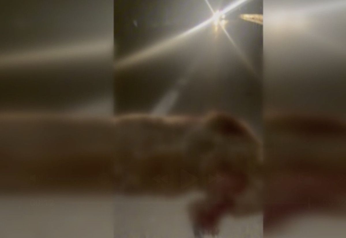 Yol Güvenliği ve Alınan Önlemler