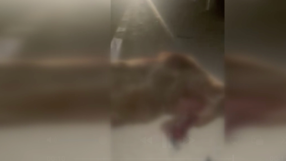 Yol Güvenliği ve Alınan Önlemler