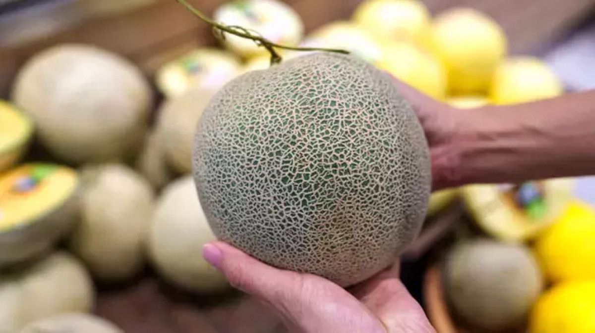 Sağlıklı ve Lezzetli Kavun Seçmenin Püf Noktaları