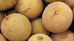 Kavun Seçiminde Dikkat Edilmesi Gerekenler ve Sağlık Riskleri