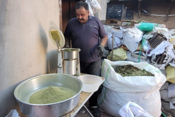 Kemaliye’nin Eşsiz Zetrin Baharatı: Şifanın ve Geleneğin Buluşması