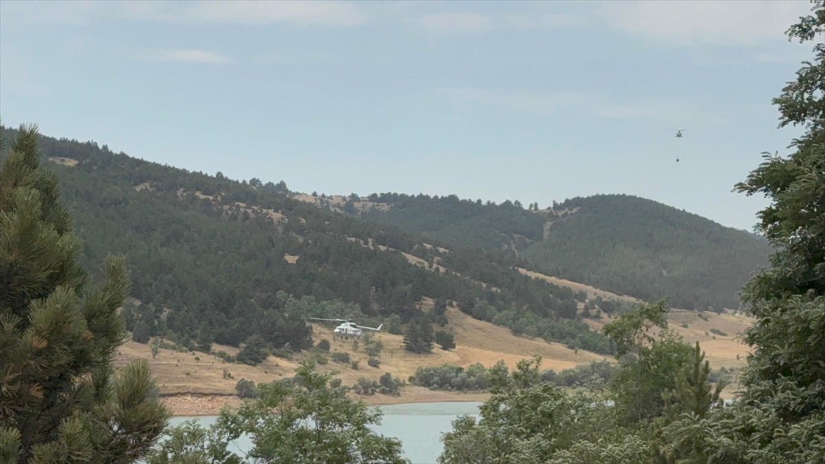 Konya'nın Doğanhisar İlçesinde Orman Yangını Çıkış Sebebi ve Güncel Durum