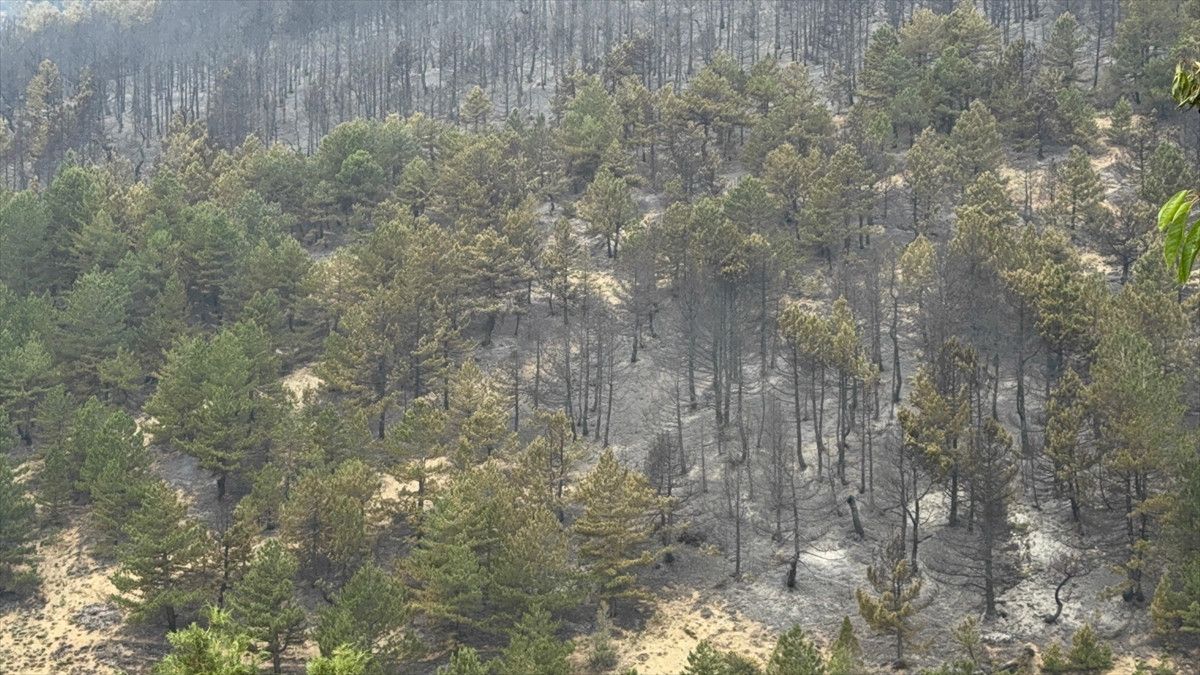 Yangınla Mücadelede Son Durum ve Gözaltı