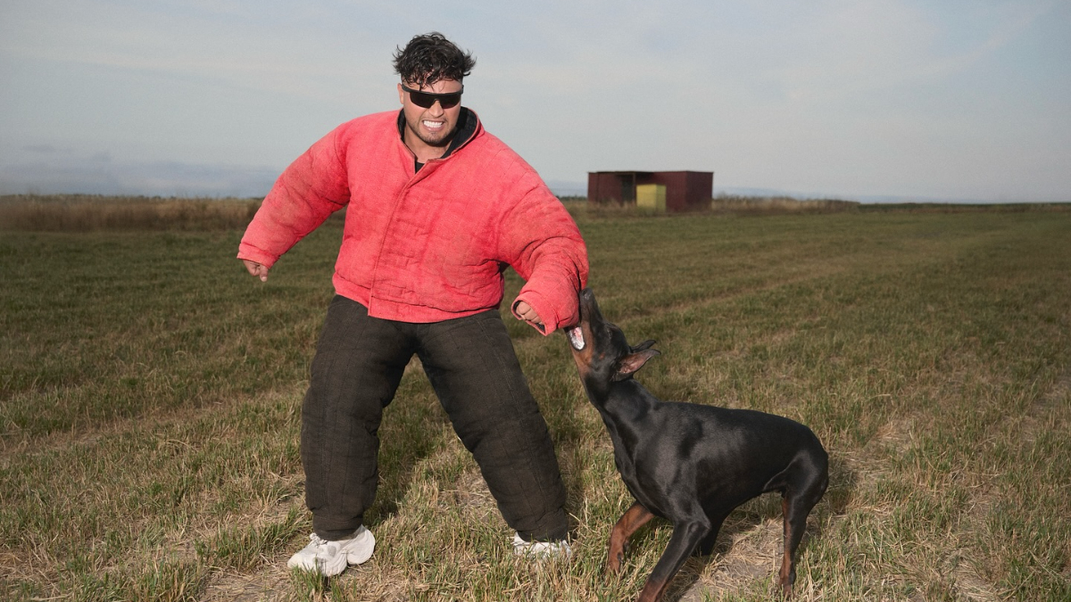 SARIŞIN SEVİGLİ İLE AŞK GÜNLERİ