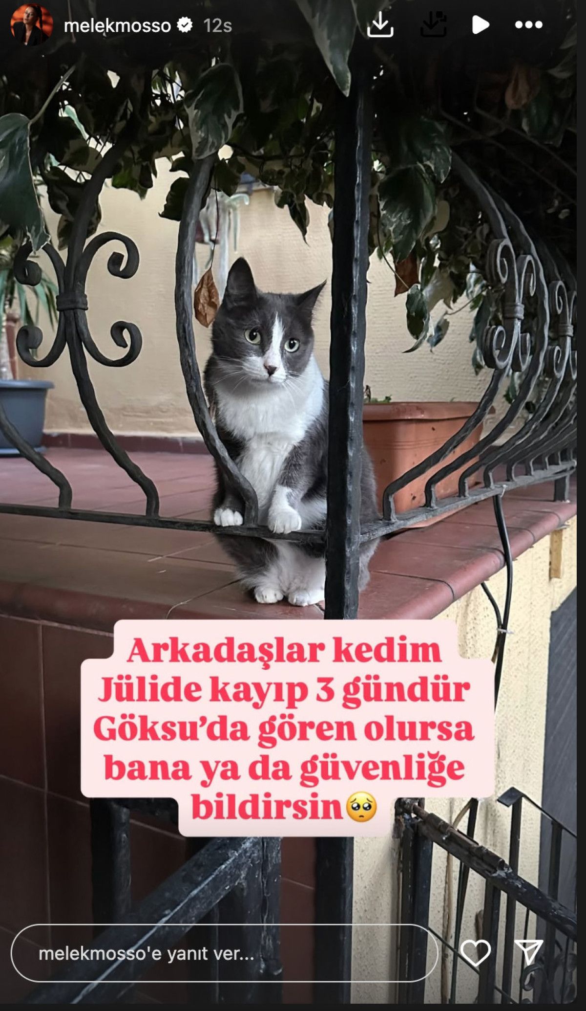 EŞİYLE ARAYI DÜZELTTİ