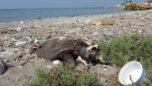 Mersin Kazanlı Sahilinde Balık Ölümleri Endişe Yarattı