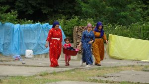 Mevsimlik Fındık İşçileri Ordu’ya Geldi: Güncel Durum ve Detaylar
