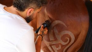 Mezitli’de Atlara Sanat Dokunuşu: At Kuaförlüğünde Yeni Trend