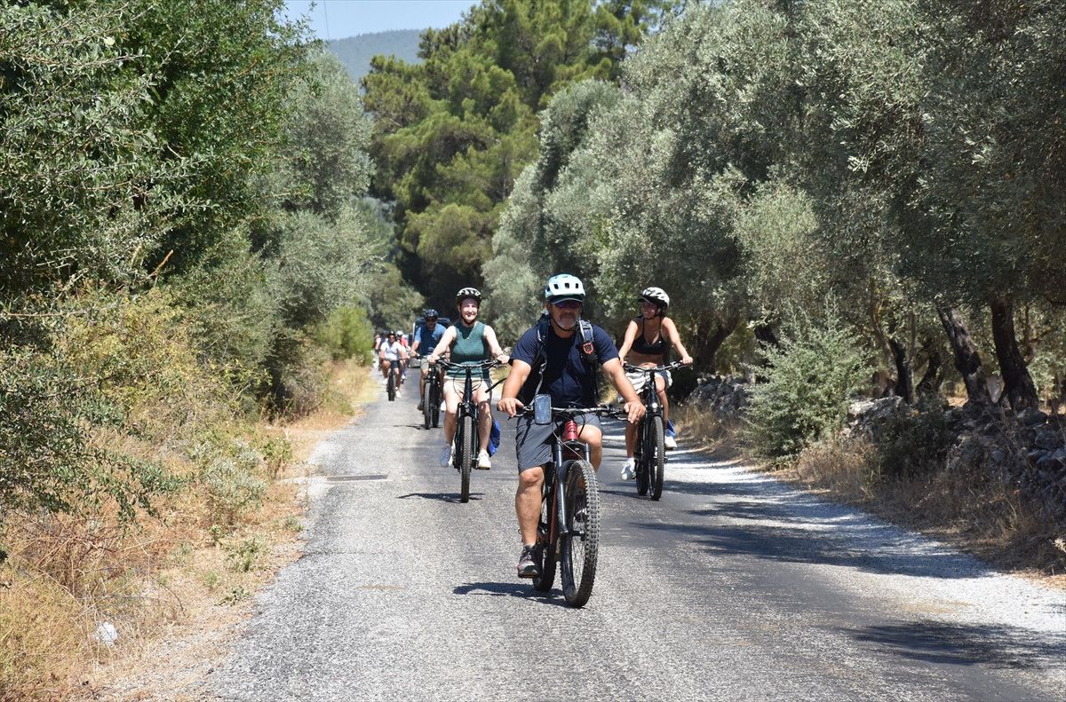 Katılımcıların Memnuniyeti ve Deneyimleri