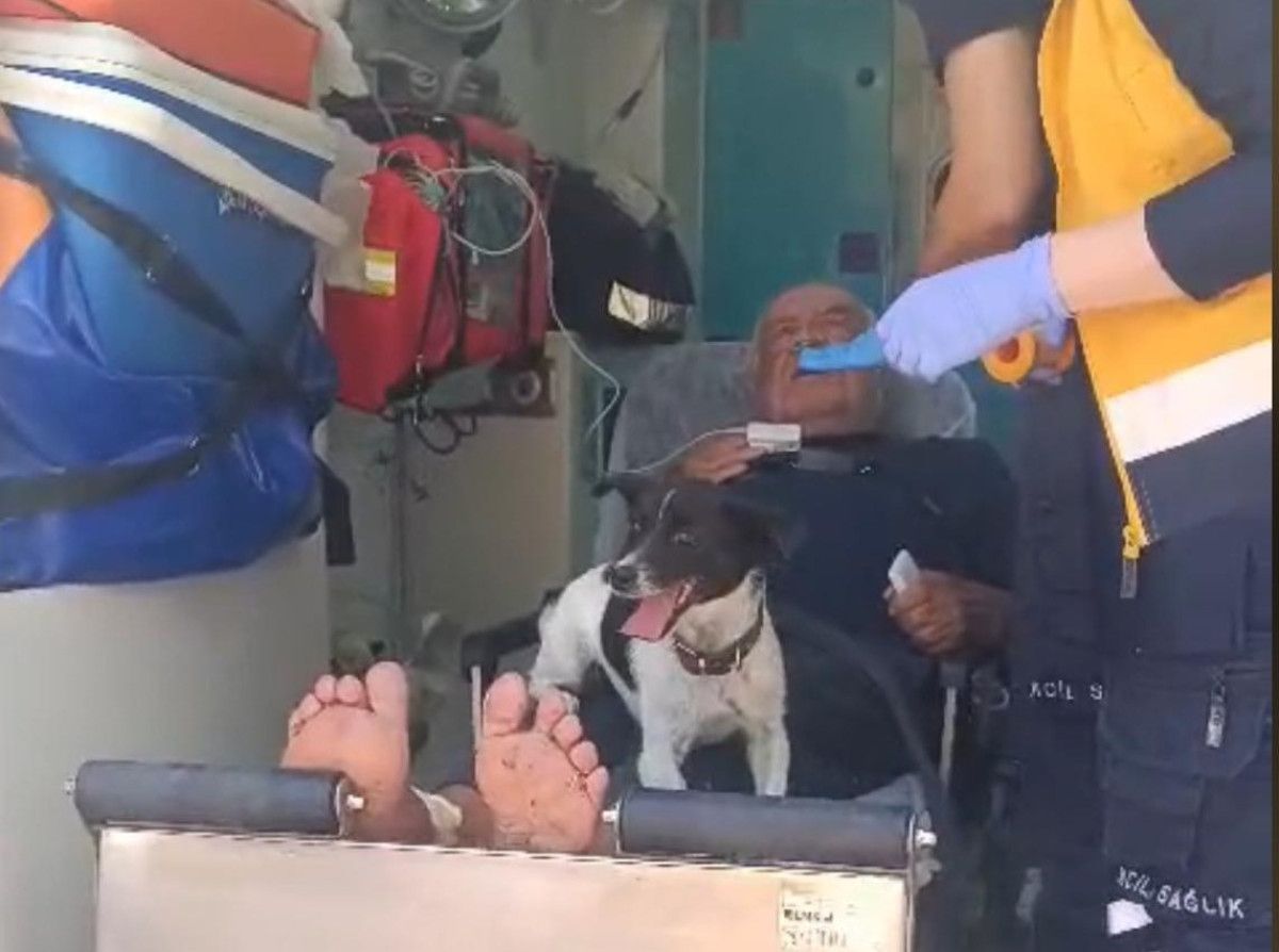 İlginç Detaylar: Köpeği de Yalnız Bırakmadı