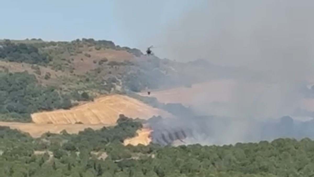 Orman Yangınına Hızla Müdahale Ediliyor