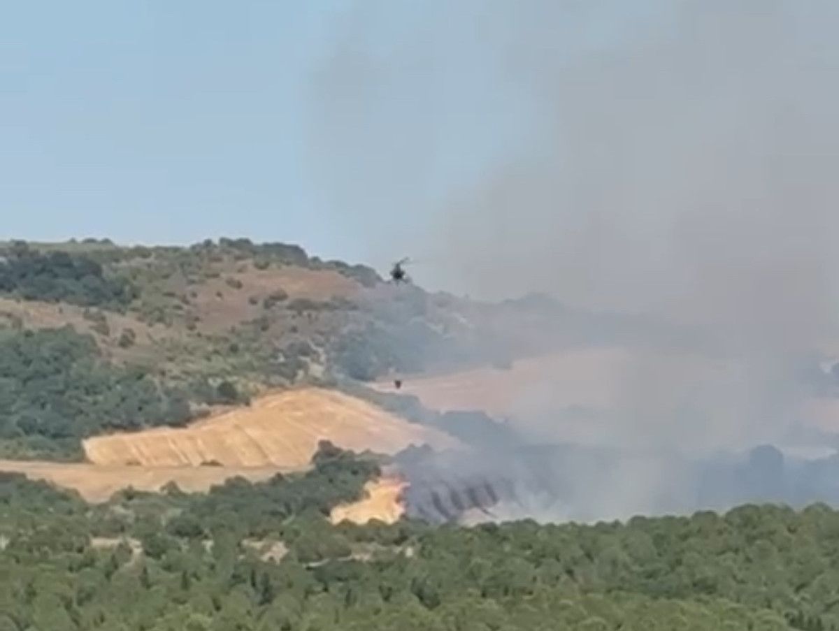 Orman Yangınına Hızla Müdahale Ediliyor