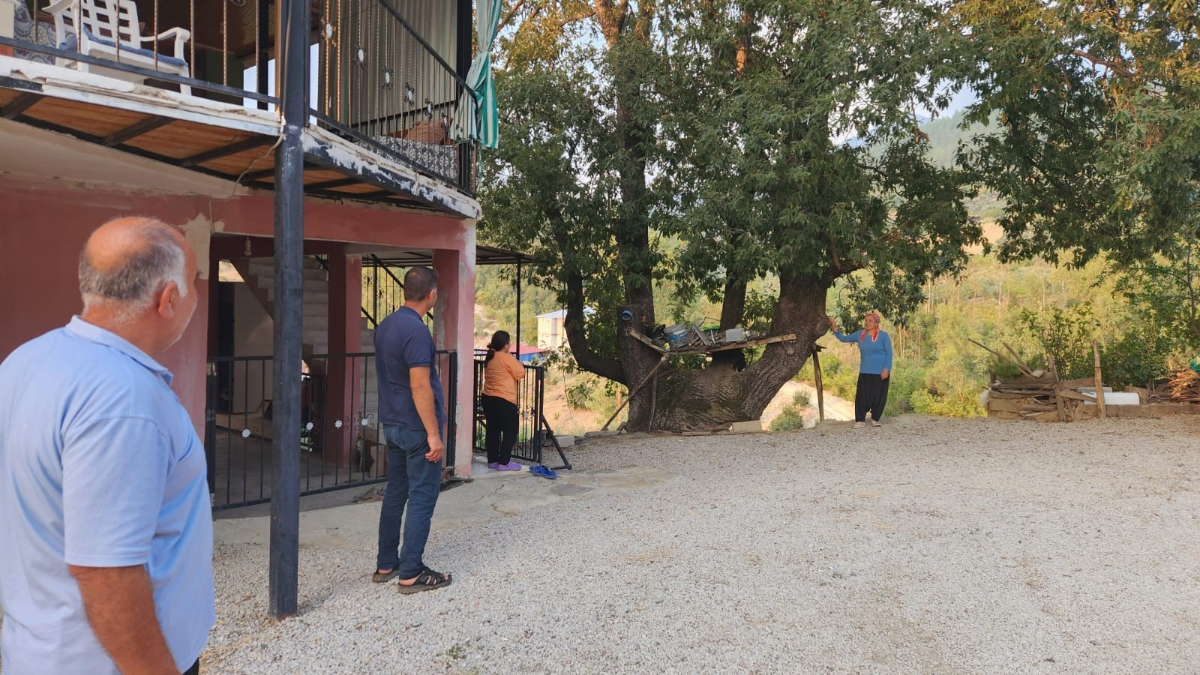Osmaniye'nin Sumbas İlçesi Gafarlı Köyü Terelik Mahallesi'nde, yaklaşık 80-100 yaşındaki bir meşe ağacında ortaya çıkan ilginç ve anlamlı yazı, köy halkı ve ziyaretçiler arasında büyük dikkat çekiyor.