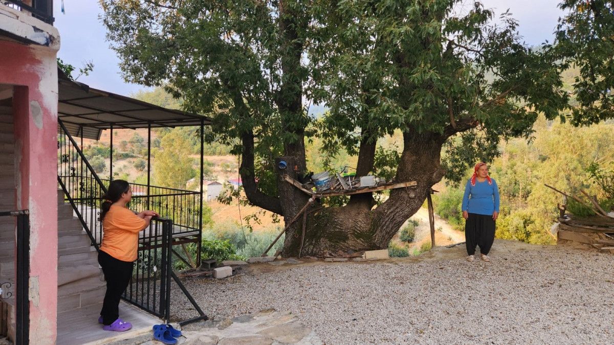 Osmaniye'nin Sumbas İlçesi Gafarlı Köyü Terelik Mahallesi'nde, yaklaşık 80-100 yaşındaki bir meşe ağacında ortaya çıkan ilginç ve anlamlı yazı, köy halkı ve ziyaretçiler arasında büyük dikkat çekiyor.