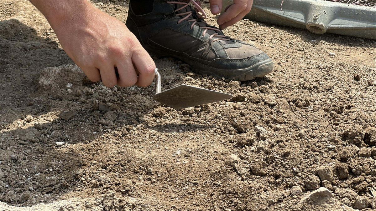 Uluslararası İş Birliği ve Eğitim