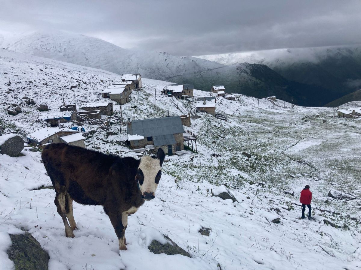 Rize ve Çamlıhemşin’de Kar Sevinci