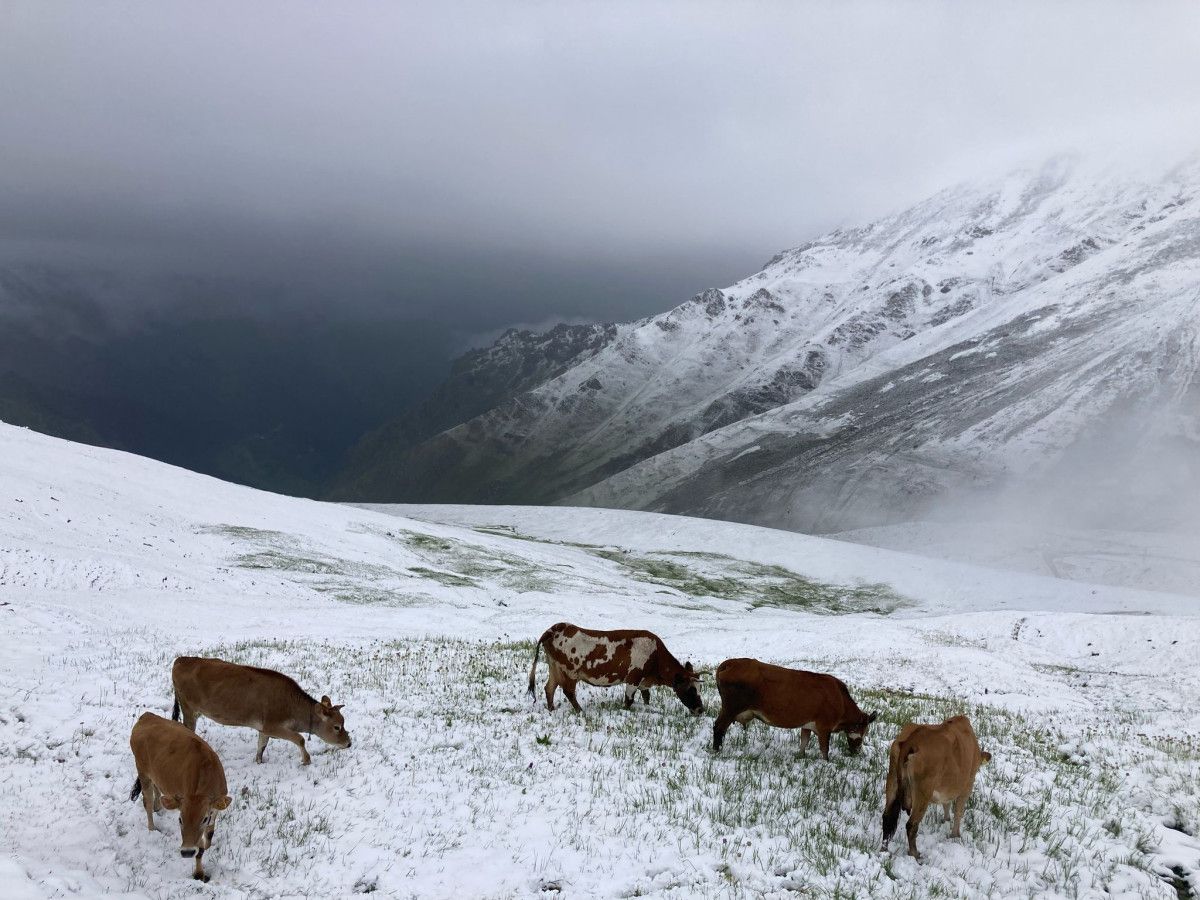 Rize ve Çamlıhemşin’de Kar Sevinci
