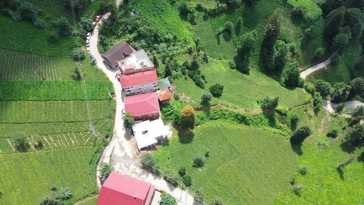 Rize'de Drone ile Çay Bahçesine Su Servisi Uygulaması