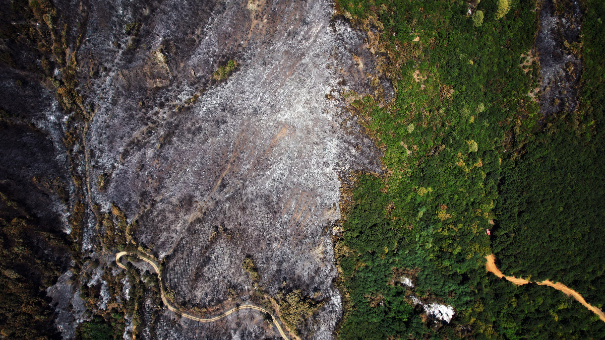 Türkiye Yaz Aylarının Sıcağıyla Birlikte Orman Yangınlarıyla Savaşmaya Devam Ediyor