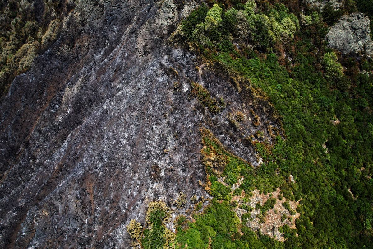 Türkiye Yaz Aylarının Sıcağıyla Birlikte Orman Yangınlarıyla Savaşmaya Devam Ediyor