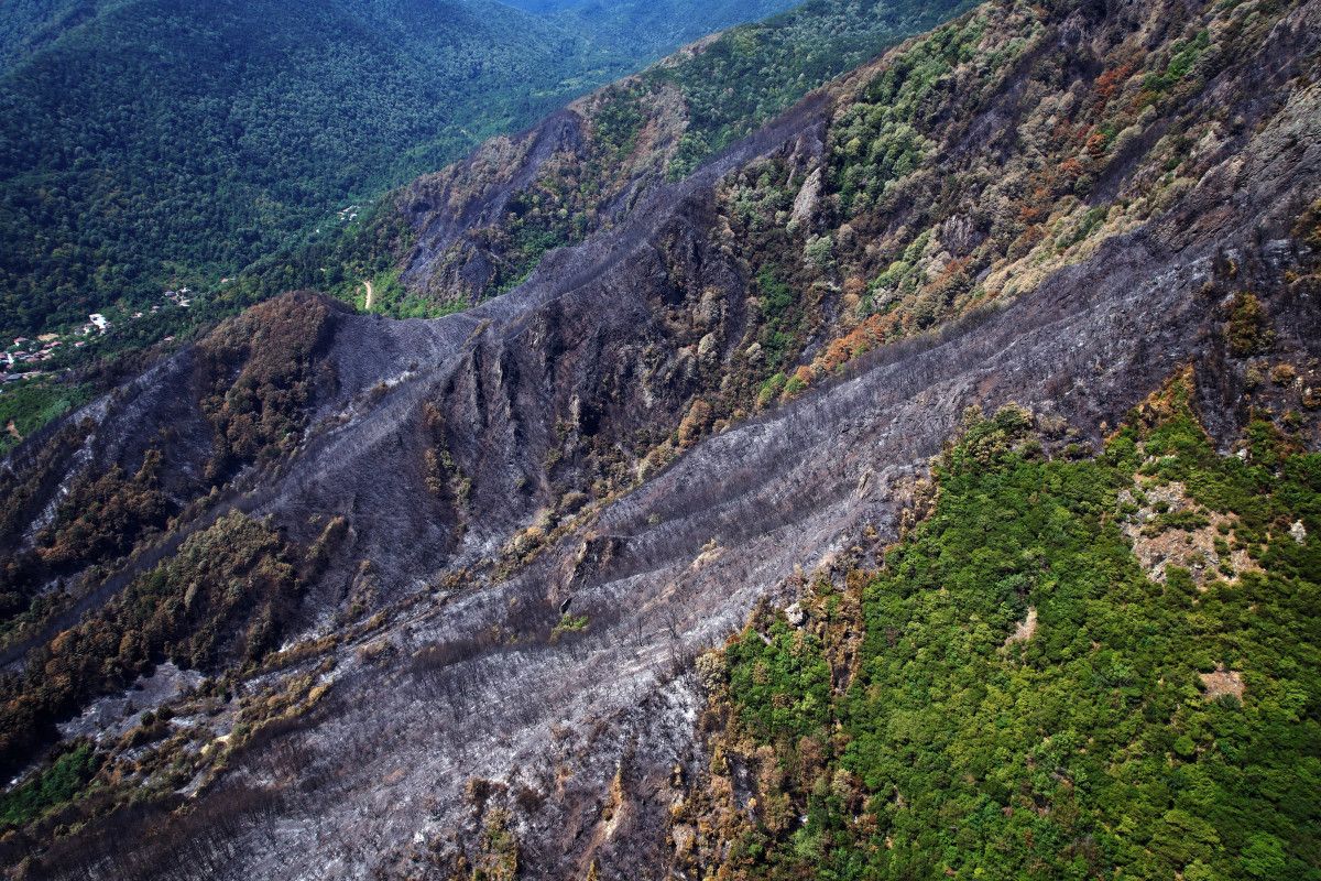 Yangına Anında Müdahale ve Görüntüler