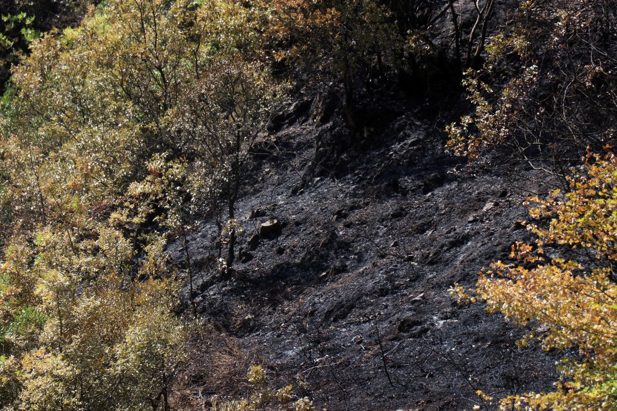 Yetkililerden Güncel Açıklamalar