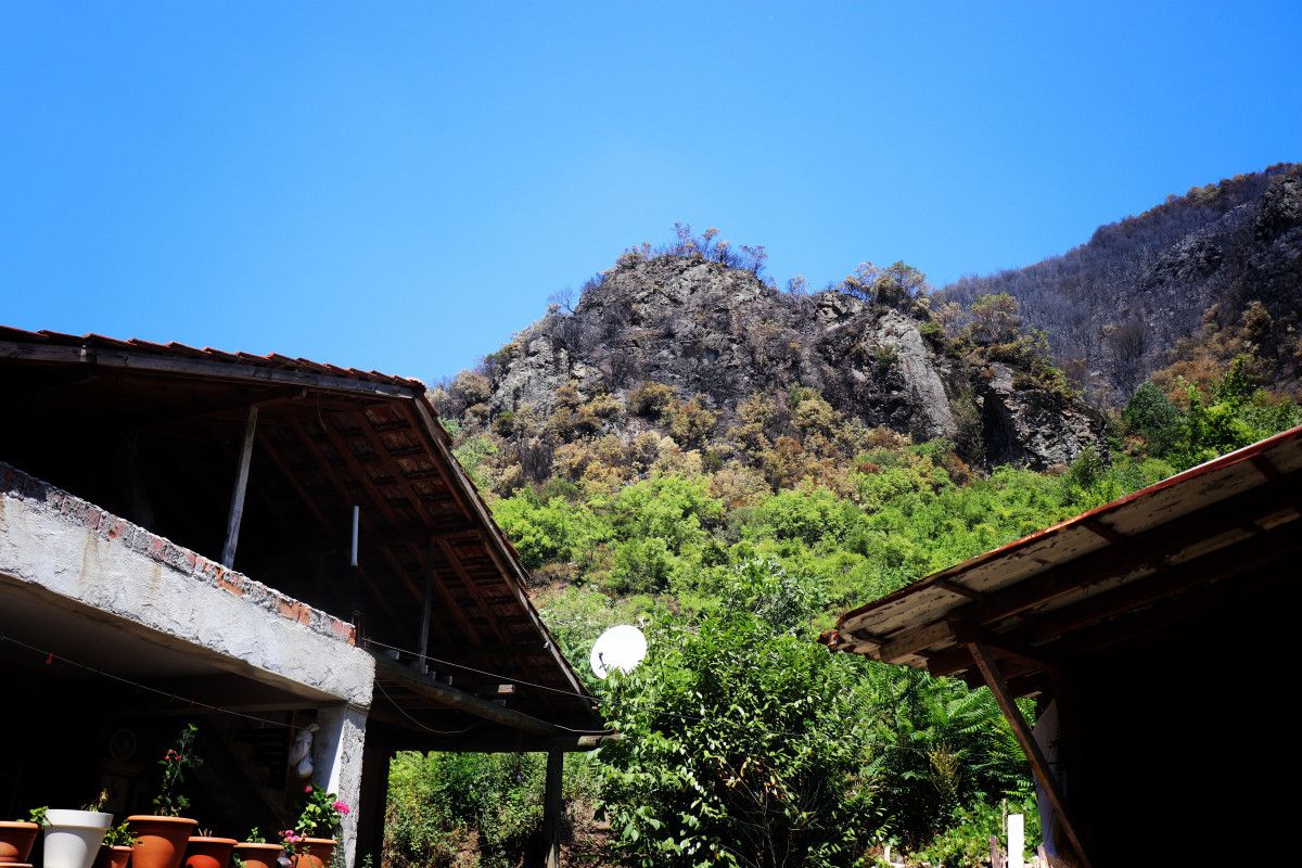 Yetkililerden Güncel Açıklamalar