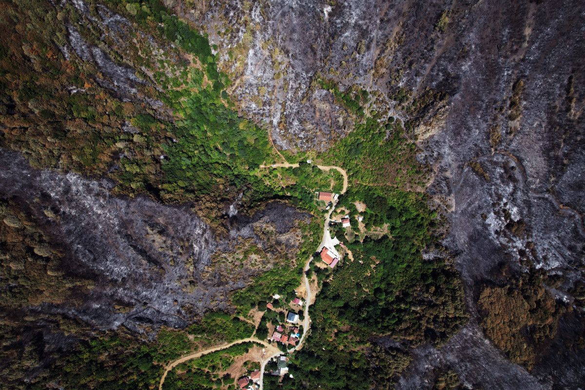Sakarya'da Yangın: Ormanlar Kül Oldu, Doğaya Büyük Zarar Verildi