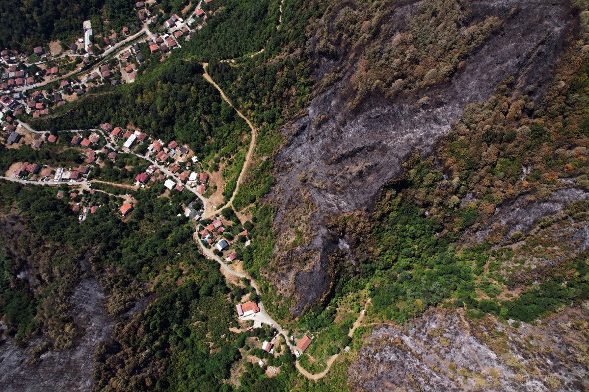 Sakarya'da Yangın: Ormanlar Kül Oldu, Doğaya Büyük Zarar Verildi
