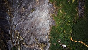 Sakarya’da Yangın: Ormanlar Kül Oldu, Doğaya Büyük Zarar Verildi