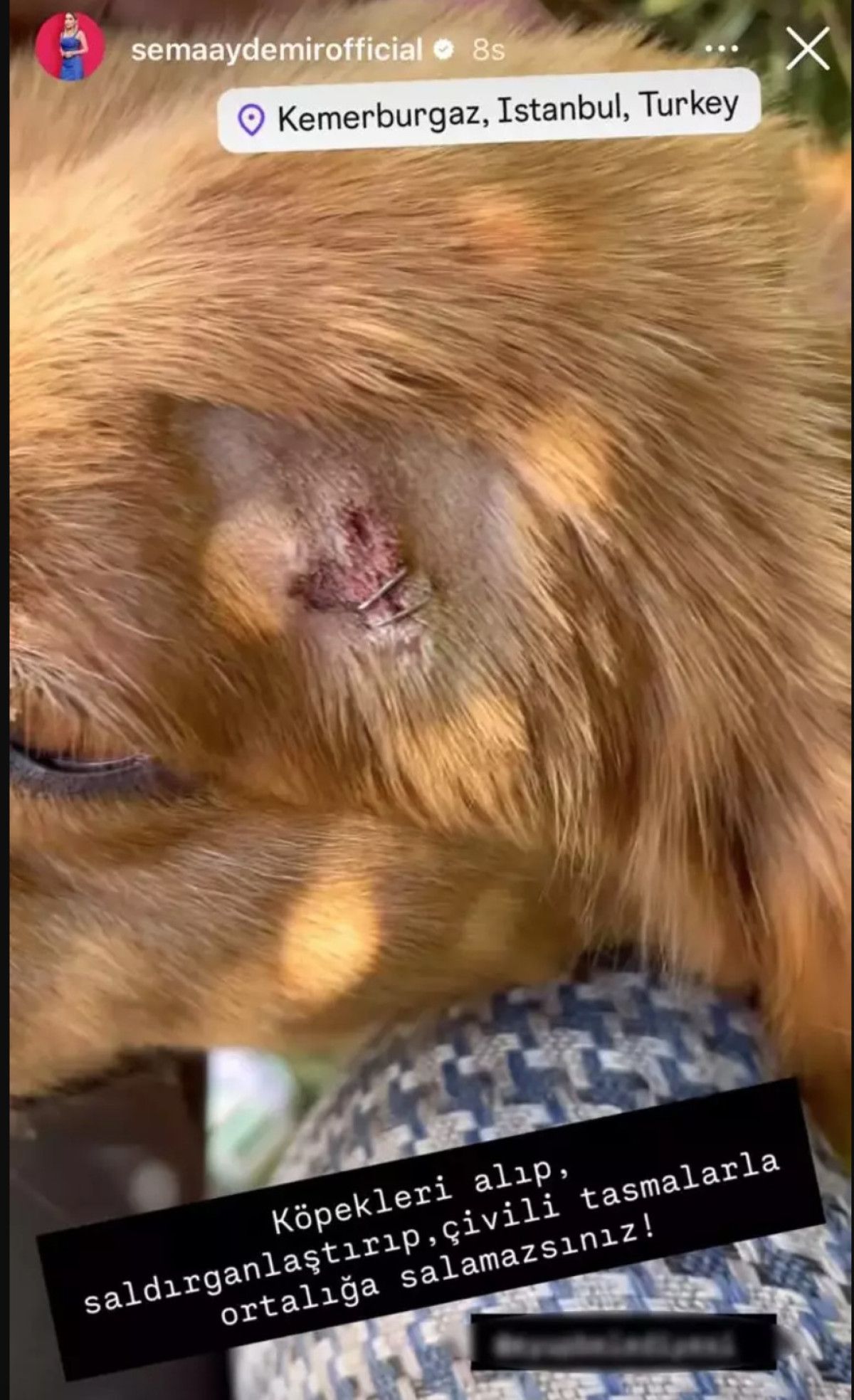 Sema Aydemir, Survivor All Star 2025 yarışmasından sonra gerçekleştirdiği son paylaşımlarla dikkatleri üzerine çekiyor.