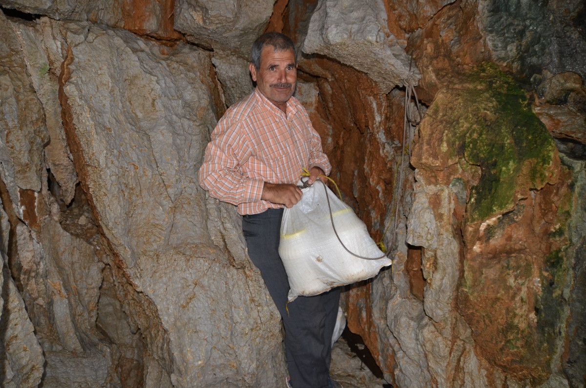 Tulum Peyniri ve Geleneksel İşleme