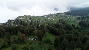 Sıcaktan Bunalan Vatandaşlar Karadeniz Yaylalarına Akın Ediyor