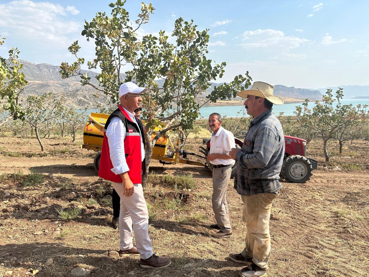Siirt'teki Fıstık Bahçelerinde Aşırı Sıcaklık Uyarısı ve Önlemler