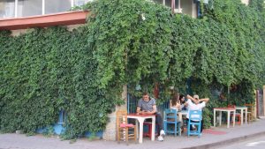 Sivas’ta Doğayla İç İçe Bir Kafe: Sarmaşıklarla Kaplı Sakin Nokta