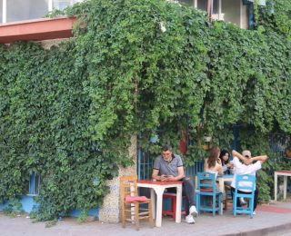 Sivas’ta Doğayla İç İçe Bir Kafe: Sarmaşıklarla Kaplı Sakin Nokta